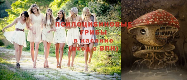 таблы Алексеевка