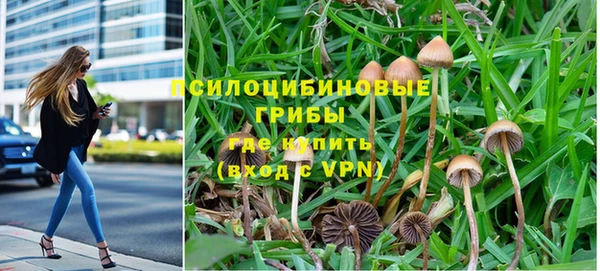 прущие крисы Алзамай