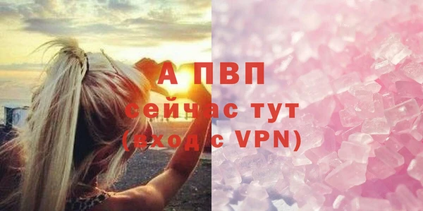 стафф Алексин