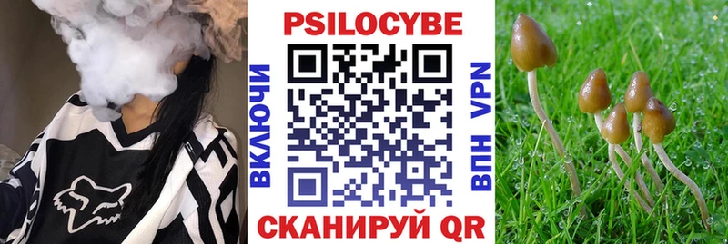 Галлюциногенные грибы GOLDEN TEACHER  сколько стоит  Карачев 