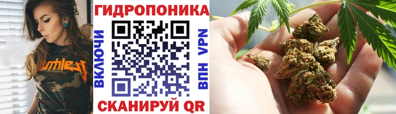 Бошки марихуана гибрид  купить наркотик  Карачев 